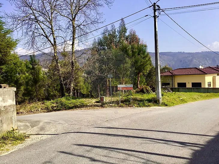 main-listing-picture-0