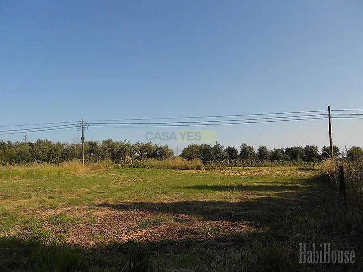 main-listing-picture-0