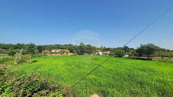 main-listing-picture-0