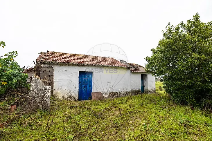 main-listing-picture-0