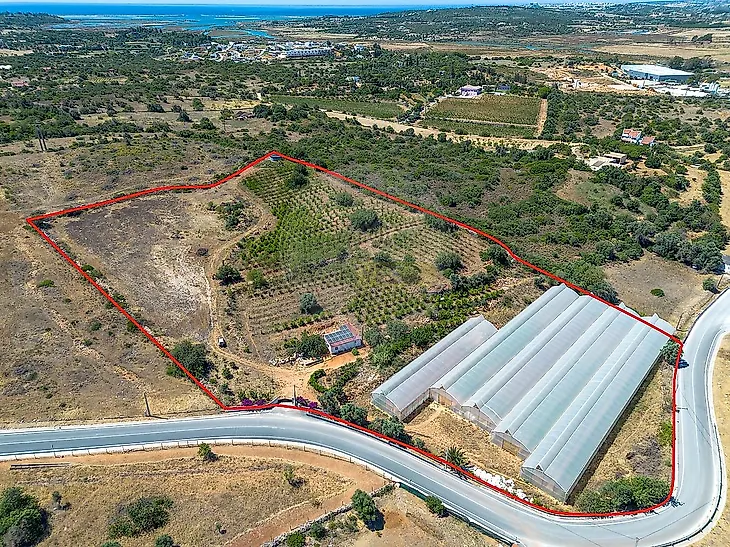 main-listing-picture-0