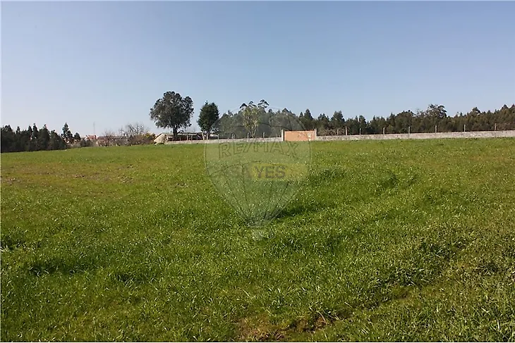 main-listing-picture-0
