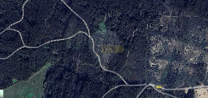 main-listing-picture-0