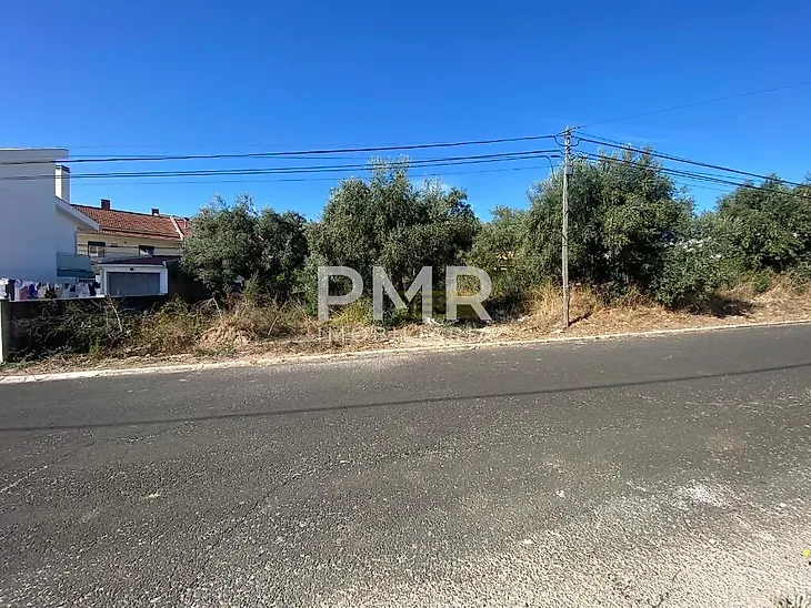 main-listing-picture-0