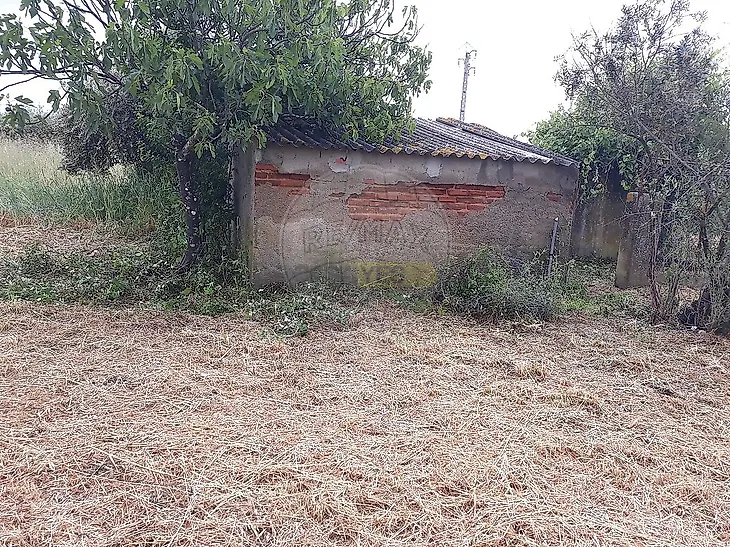 main-listing-picture-0