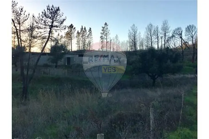 main-listing-picture-0
