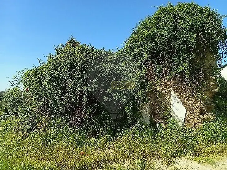 main-listing-picture-0