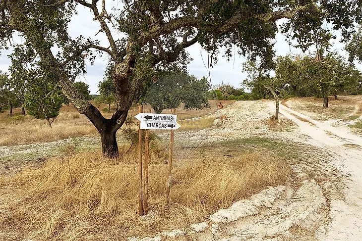 main-listing-picture-0