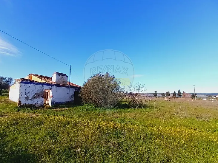 main-listing-picture-0