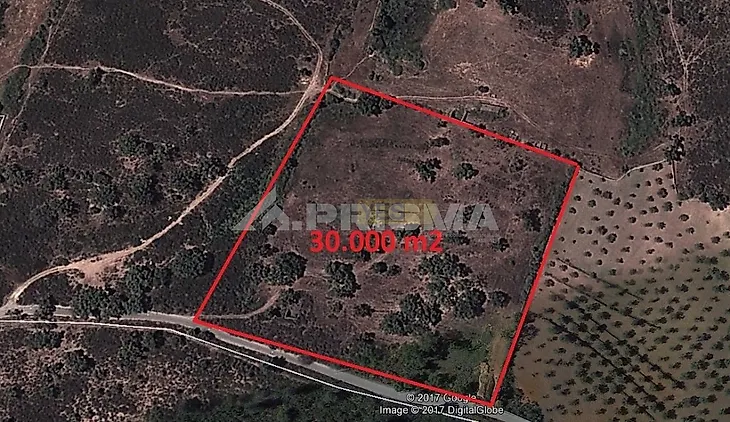 main-listing-picture-0