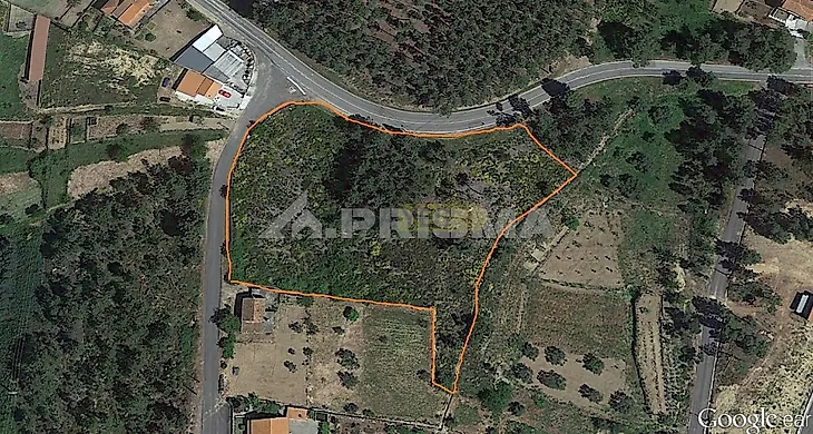 main-listing-picture-0