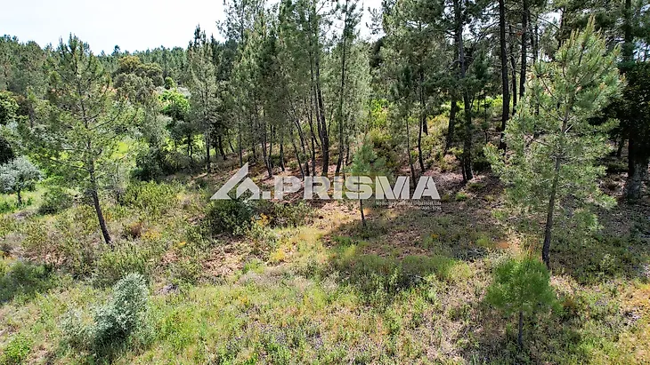 main-listing-picture-0