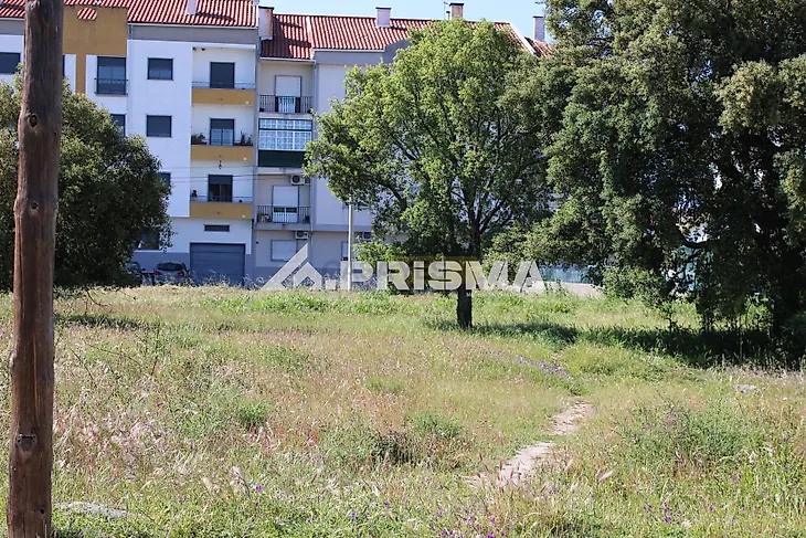 main-listing-picture-0