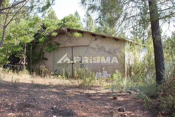 main-listing-picture-0