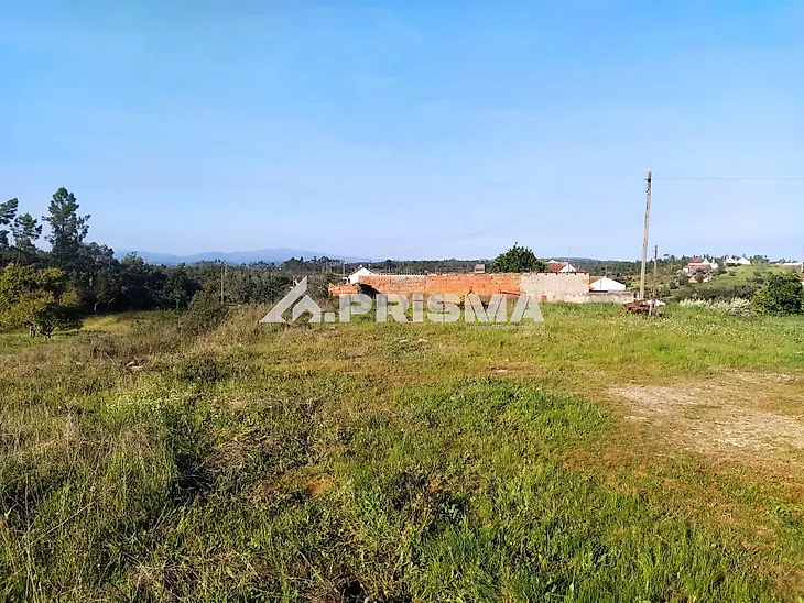 main-listing-picture-0