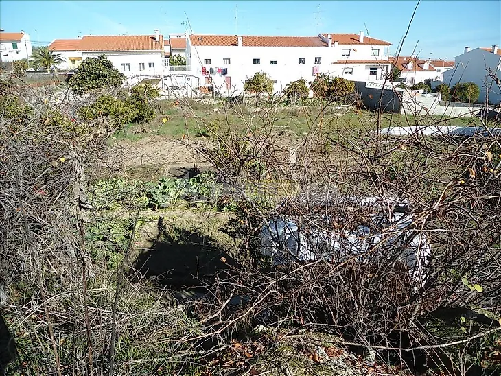 main-listing-picture-0
