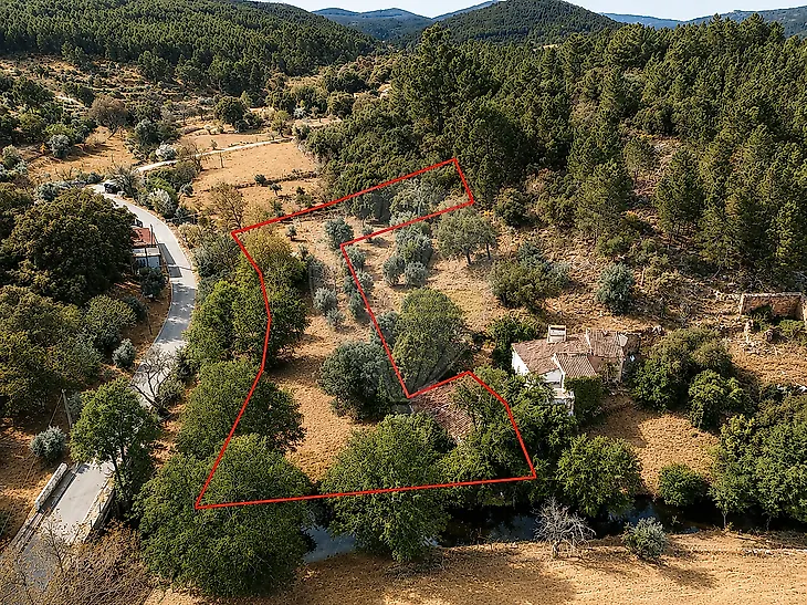 main-listing-picture-0