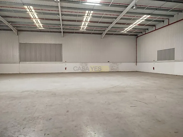 main-listing-picture-0