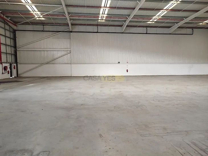 main-listing-picture-0
