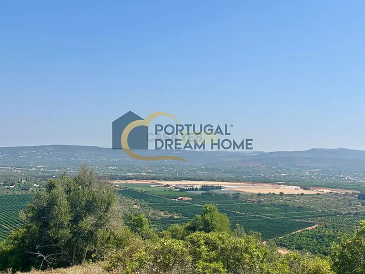 main-listing-picture-0