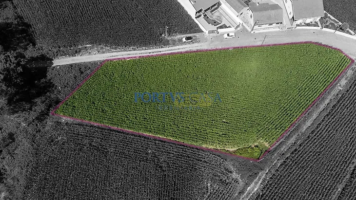 main-listing-picture-0