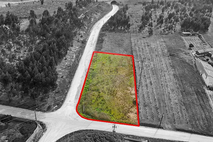 main-listing-picture-0