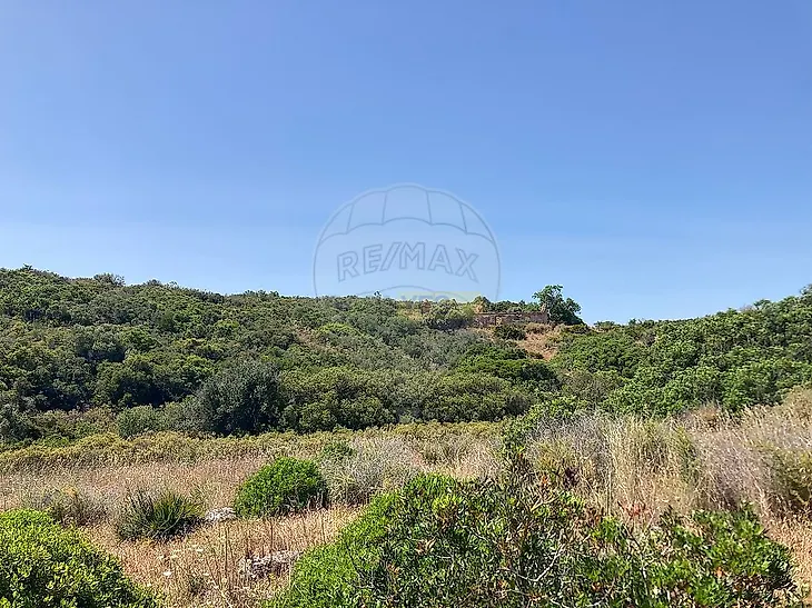 main-listing-picture-0