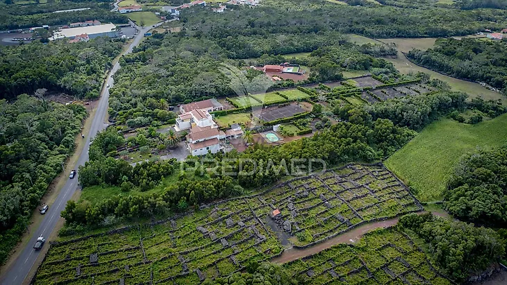 main-listing-picture-0
