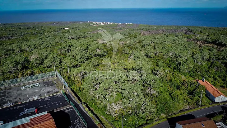 main-listing-picture-0