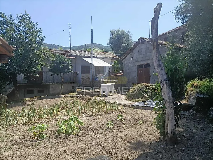 main-listing-picture-0