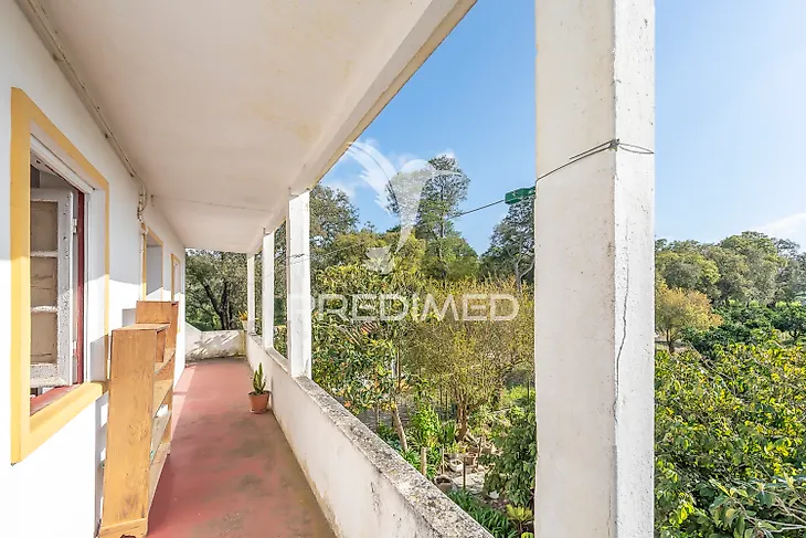 main-listing-picture-0