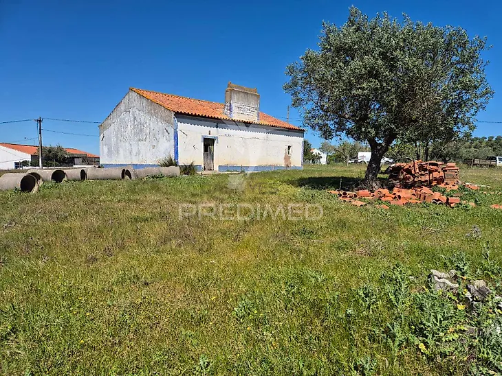 main-listing-picture-0