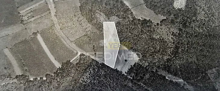 main-listing-picture-0