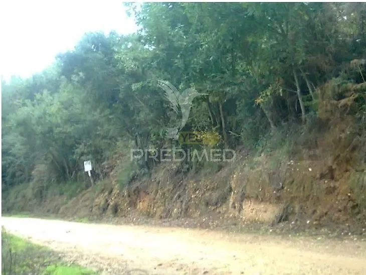 main-listing-picture-0