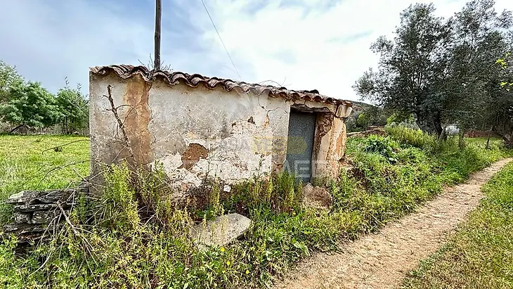 main-listing-picture-0