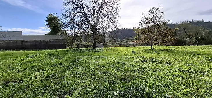 main-listing-picture-0