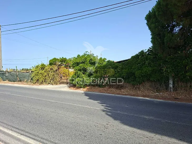 main-listing-picture-0