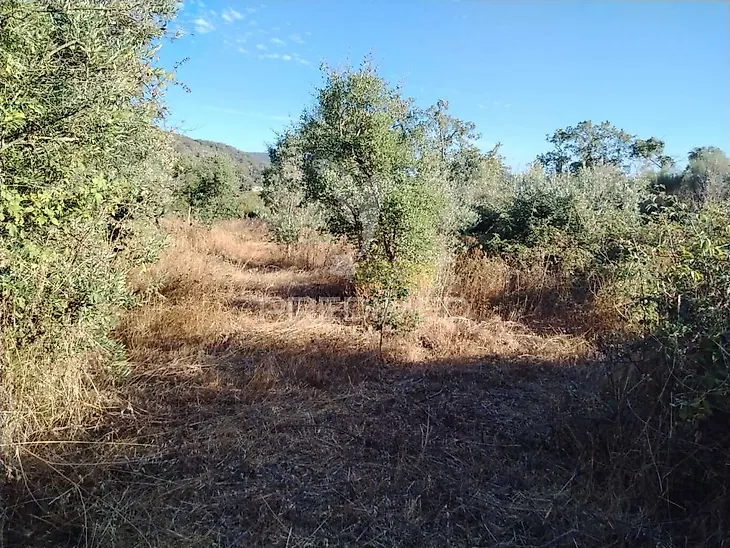 main-listing-picture-0