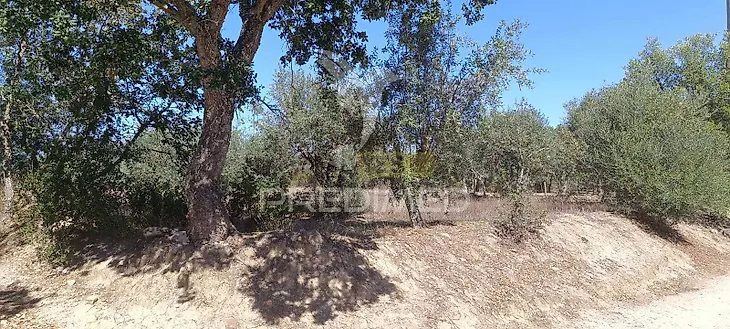 main-listing-picture-0