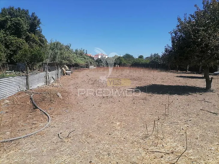 main-listing-picture-0