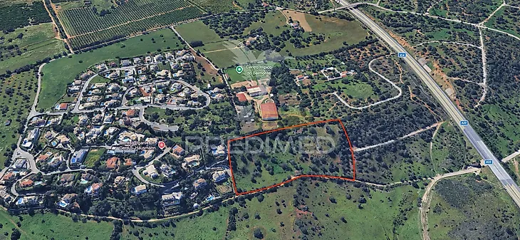 main-listing-picture-0