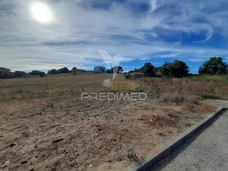 main-listing-picture-0
