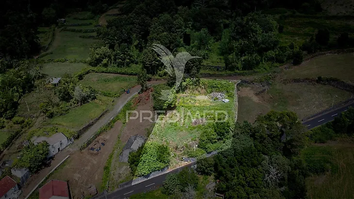 main-listing-picture-0