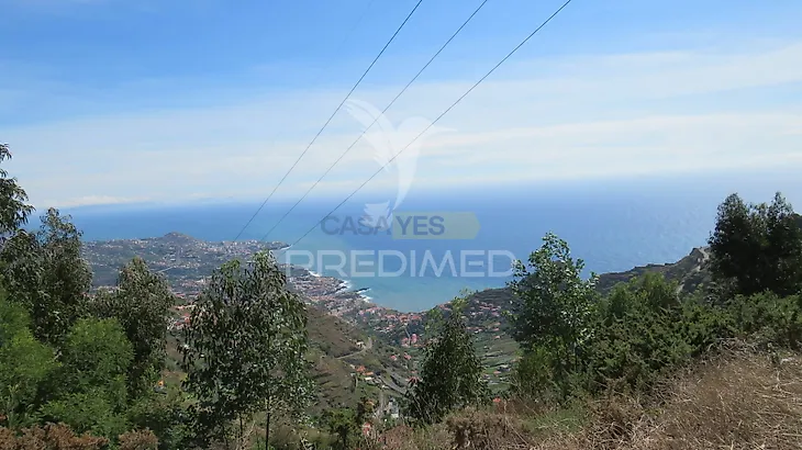 main-listing-picture-0