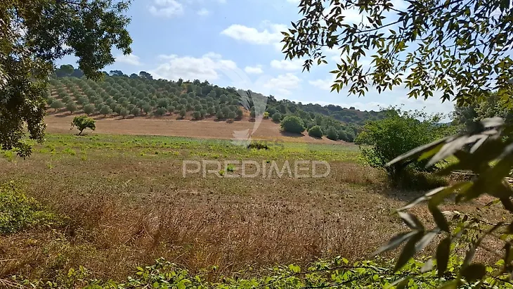 main-listing-picture-0