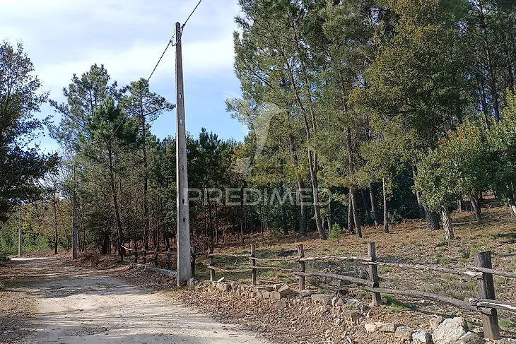 main-listing-picture-0
