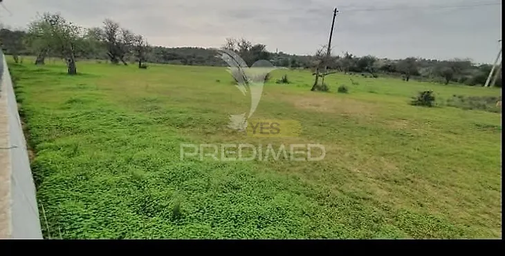 main-listing-picture-0