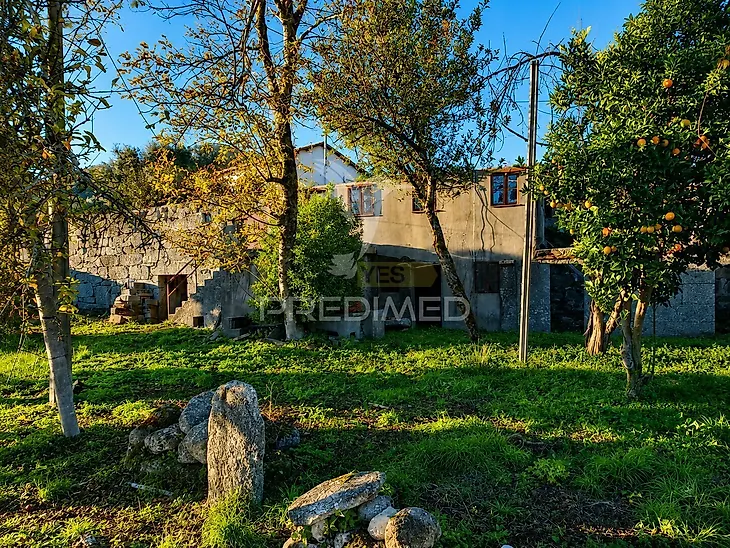 main-listing-picture-0