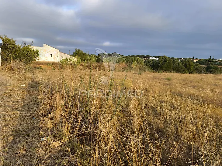 main-listing-picture-0