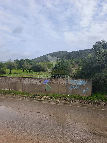 main-listing-picture-0